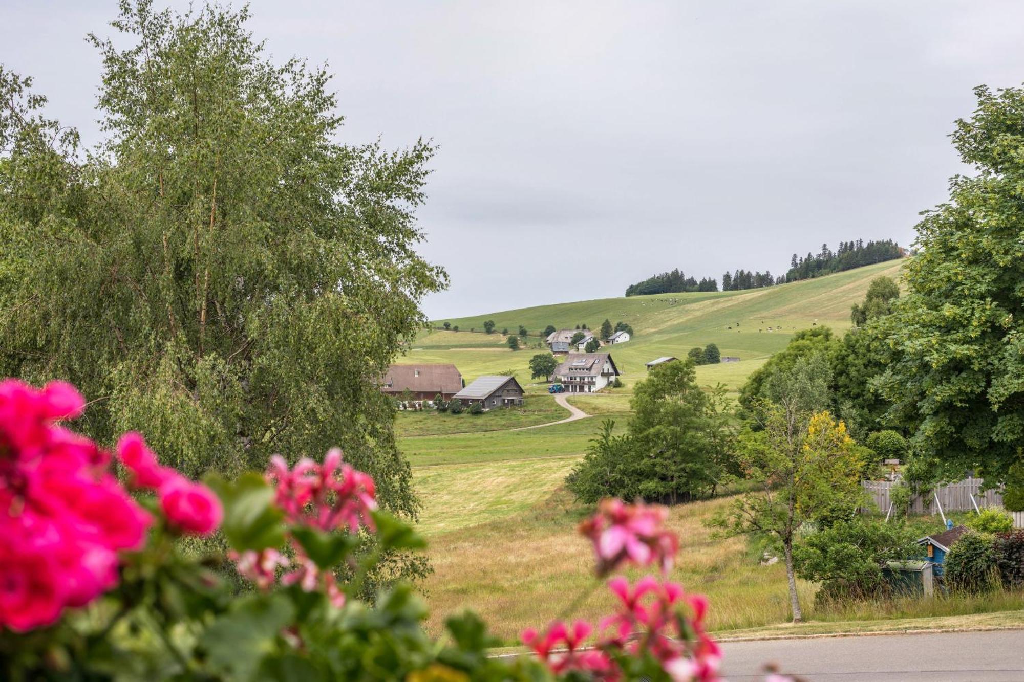 Apartamento Weitblick Breitnau Exterior foto